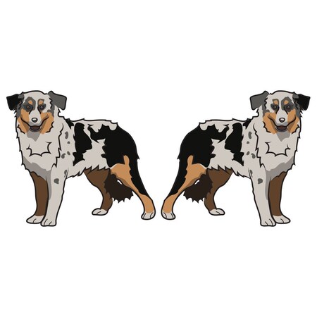 Miniature American Shepherd Dog Decal, Dog Lover Decor Vinyl Sticker